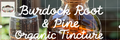 Burdock Root & Pine Tincture